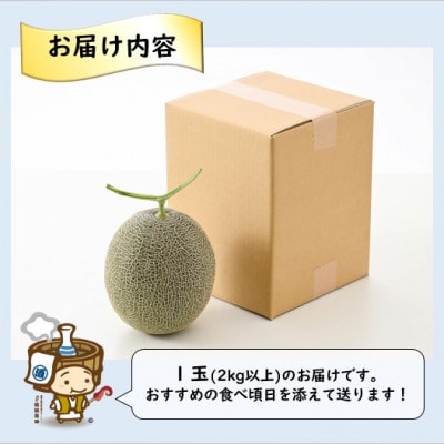 【先行受付】ペルルメロン 1玉(約2kg以上)青肉品種 高級メロン【家計応援!】