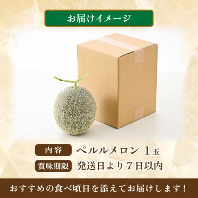 【先行予約】ペルルメロン 1玉(約2kg以上)青肉品種 高級メロン