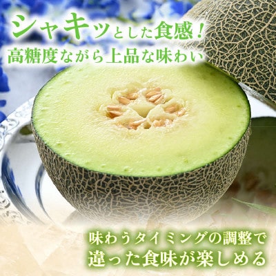 【先行予約】ペルルメロン 2玉(約2kg以上×2玉)青肉品種 高級メロン
