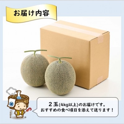 【先行受付】ペルルメロン 2玉(約2kg以上×2玉)青肉品種 高級メロン【家計応援!】