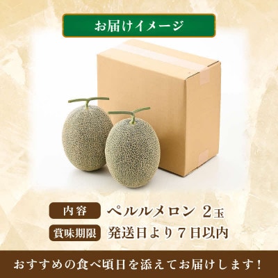 【先行予約】ペルルメロン 2玉(約2kg以上×2玉)青肉品種 高級メロン