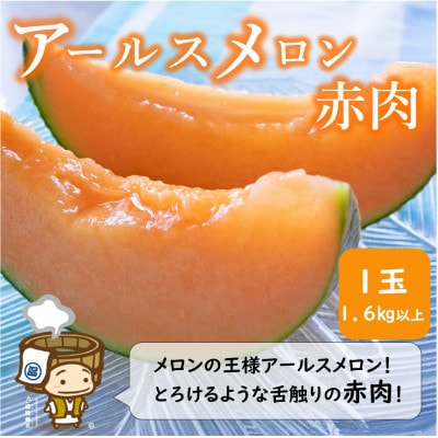 【先行受付】【赤肉】アールスメロン 1玉(約1.6kg以上)