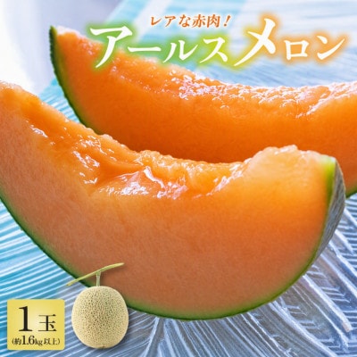 【先行予約】【赤肉】アールスメロン 1玉(約1.6kg以上)赤肉品種 高級メロン