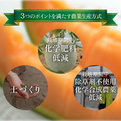 【先行予約】【赤肉】秋 アールスメロン 1玉(約1.6kg以上)