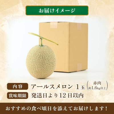 【先行予約】【赤肉】秋 アールスメロン 1玉(約1.6kg以上)