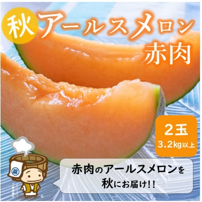 【先行受付】【赤肉】秋 アールスメロン 2玉(計約3.2kg以上)
