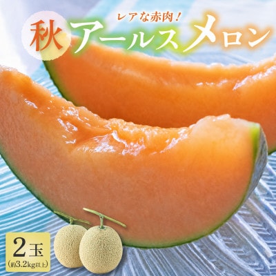 【先行予約】【赤肉】秋 アールスメロン 2玉(計約3.2kg以上)
