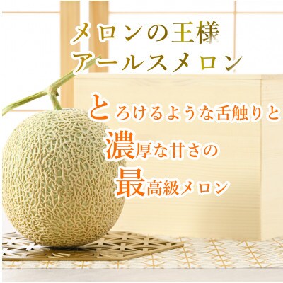 【先行受付】【赤肉】秋 アールスメロン 2玉(計約3.2kg以上)