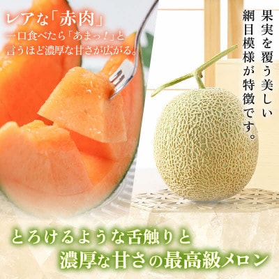 【先行予約】【赤肉】秋 アールスメロン 2玉(計約3.2kg以上)