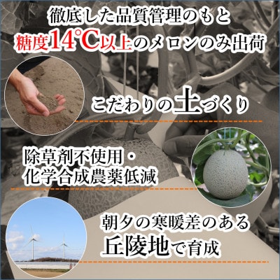 【先行受付】【赤肉】秋 アールスメロン 2玉(計約3.2kg以上)