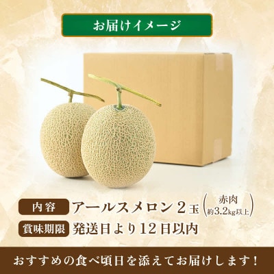 【先行予約】【赤肉】秋 アールスメロン 2玉(計約3.2kg以上)