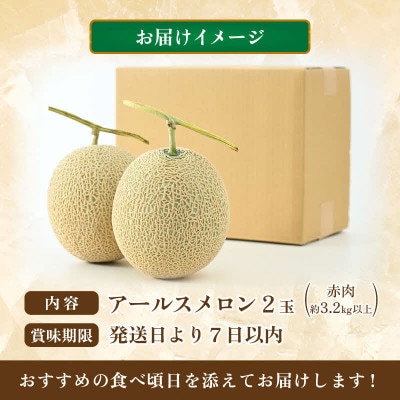 【先行予約】【赤肉】アールスメロン 2玉(約1.6kg以上×2玉)赤肉品種の高級メロン