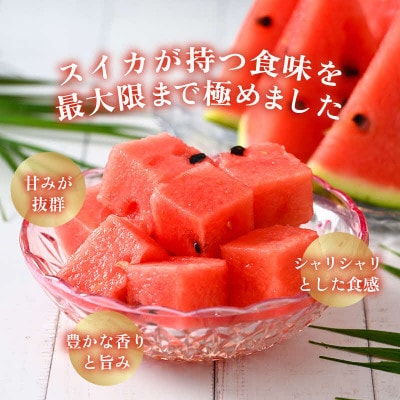 【先行予約】大玉すいか『祭ばやし』 1玉(約7kg以上)