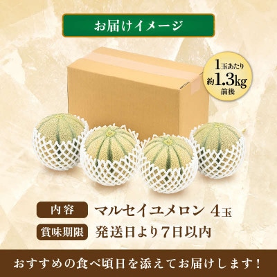 【先行予約】マルセイユメロン 4玉 約5.2kg前後(約1.3kg前後×4玉)