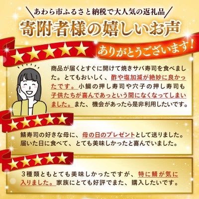 押し寿司セット(焼き鯖寿司、小鯛の押し寿司、炙り穴子の押し寿司) 3種20貫入