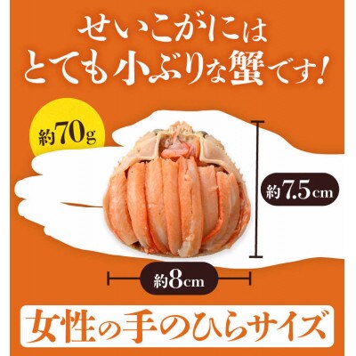 日本海産 せいこがに甲羅盛り 約70g×6杯