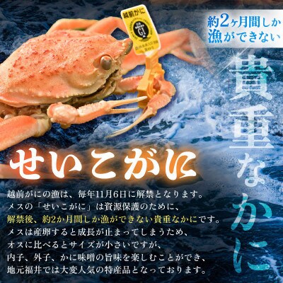 福井県産せいこがに甲羅盛り 約70g×4杯 / 越前がに