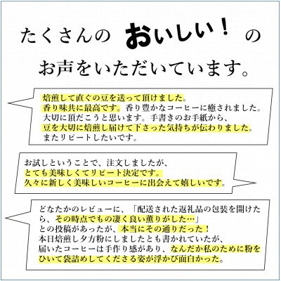 【毎月定期便】【豆タイプ】吉崎御坊ブレンド150g×2袋(計300g) コーヒー全6回