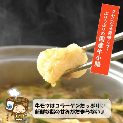 越前のホルモン屋 国産牛 ぷるるんもつ鍋セット