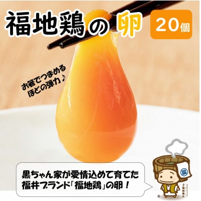 濃厚で甘くておいしい! 福井ブランド「福地鶏」の卵 20個