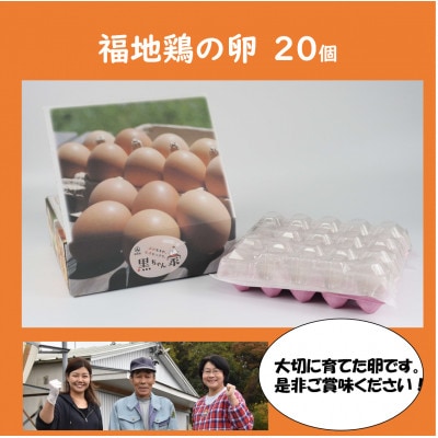 濃厚で甘くておいしい! 福井ブランド「福地鶏」の卵 20個