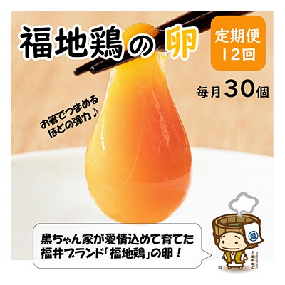 【毎月定期便】濃厚で甘くておいしい! 福井ブランド「福地鶏」の卵 30個全12回