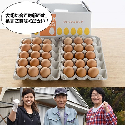 【毎月定期便】濃厚で甘くておいしい! 福井ブランド「福地鶏」の卵 30個全12回