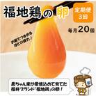 【毎月定期便】福井ブランド「福地鶏」の卵 20個　濃厚で甘くておいしい!全3回