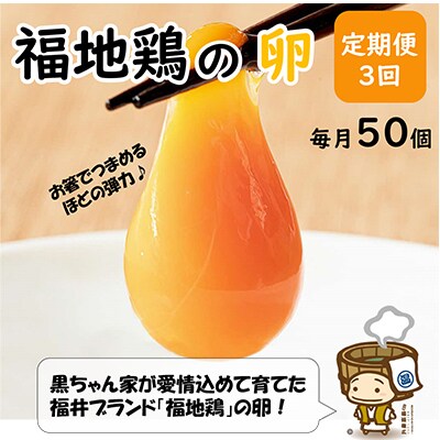 【毎月定期便】福井ブランド「福地鶏」の卵 50個　濃厚で甘くておいしい!全3回