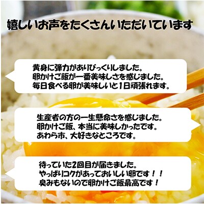 【毎月定期便】福井ブランド「福地鶏」の卵 50個　濃厚で甘くておいしい!全3回