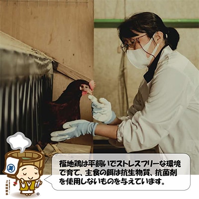 【毎月定期便】福井ブランド「福地鶏」の卵 50個　濃厚で甘くておいしい!全3回
