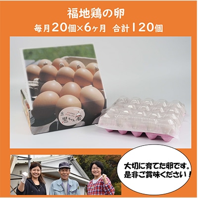 【毎月定期便】福井ブランド「福地鶏」の卵 20個　濃厚で甘くておいしい!全6回