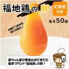 【毎月定期便】福井ブランド「福地鶏」の卵 50個　濃厚で甘くておいしい!全6回