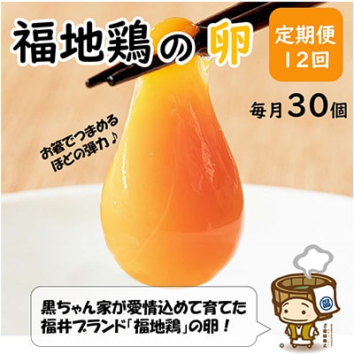 【毎月定期便】福井ブランド「福地鶏」の卵 30個　濃厚で甘くておいしい!全12回