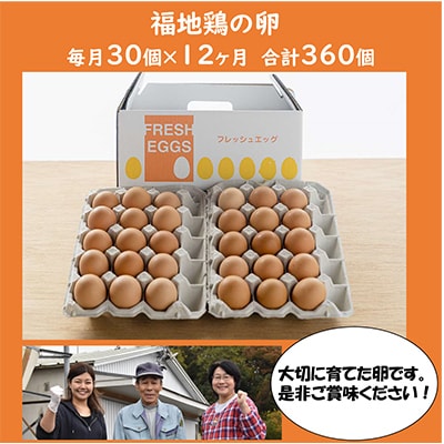 【毎月定期便】福井ブランド「福地鶏」の卵 30個　濃厚で甘くておいしい!全12回