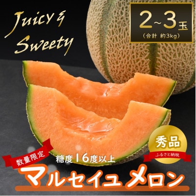 【赤肉】マルセイユメロン約3kg前後《秀品》(2～3玉入)