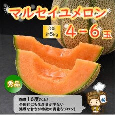 【先行受付】マルセイユメロン 約5kg 秀品(4L～2L 4～6玉入)