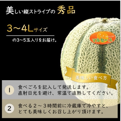 【赤肉】マルセイユメロン 約5kg 秀品(3～5玉入)