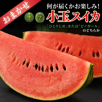 【先行受付】佐藤農園の小玉スイカ・マルセイユメロン セット 計2玉入(約2.5kg～3kg) 秀品