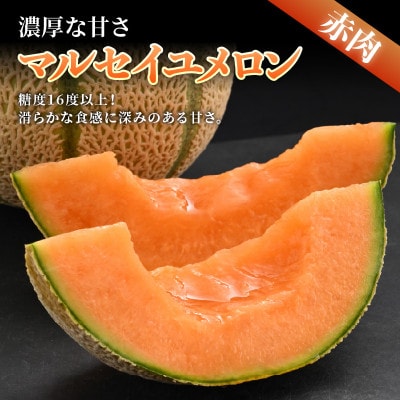 【先行受付】佐藤農園の小玉スイカ・マルセイユメロン セット 計2玉入(約2.5kg～3kg) 秀品