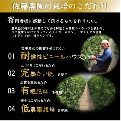 【先行受付】小玉スイカ2種とマルセイユメロン2個の贅沢セット 計6kg～8kg