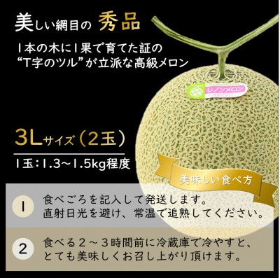 一株一果採り 高級赤肉メロン 3L 2玉入 約2.6～3kg《秀品》