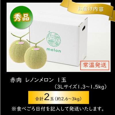 一株一果採り 高級赤肉メロン 3L 2玉入 約2.6～3kg《秀品》