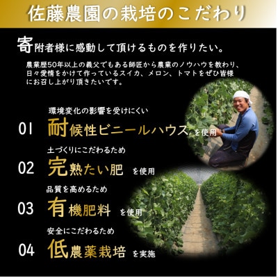 一株一果採り 高級赤肉メロン 3L 2玉入 約2.6～3kg《秀品》
