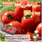 高糖度 ミディトマト 越のルビー 5パック 計約1kg(25～35個入)