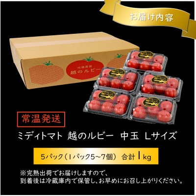 高糖度 ミディトマト 越のルビー 5パック 計約1kg(25～35個入)