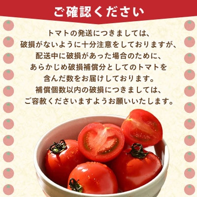 【先行予約】高糖度ミディトマト越のルビー 約1kg 5パック(4パック+品質補償1パック)