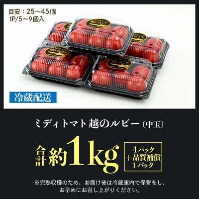 【先行予約】高糖度ミディトマト越のルビー 約1kg 5パック(4パック+品質補償1パック)