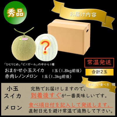 【先行受付】佐藤農園の小玉スイカとレノンメロンのセット 計2玉