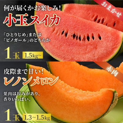 【先行受付】佐藤農園の小玉スイカとレノンメロンのセット 計2玉